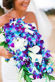 We did not find results for: Elegant Cobalt Blue Kauai Island Wedding Blue Orchid Wedding Wedding Bouquets Purple Wedding
