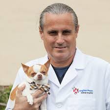 We would like to show you a description here but the site won't allow us. Homestead Veterinarian English Plaza Animal Hospital