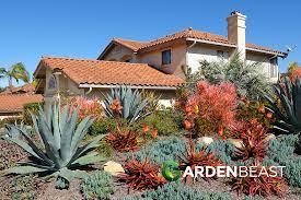 A winding desert path helps you to connect you to other areas round the landscape like a backyard patio or garden bench. Desert Landscaping Ideas For Your Backyard Complete Guide