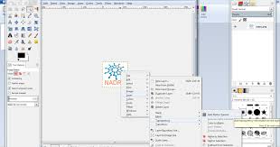 نتبع الخطوات التالية ننقر بزر الماوس الايمن على الصورة ثم نختار layer ثم transparency ثم add alpha chanel ثم نختار fuzzy tool ونحدد بوا chart bar chart gimp