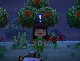 Kimoby helps your frontline staff to communicate more effectively with customers and empowers them to build strong, profitable relationships through texting and multimedia messaging. Animal Crossing New Horizons Deserted Island Guide Rare Island Types Tips And More Gamespot