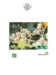 Image result for Otiophora pauciflora