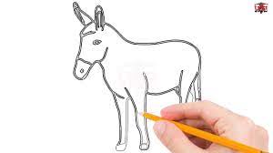 How To Draw A Donkey Step By Step Easy For Beginners/Kids – Simple Donkeys  Drawing Tutorial - Youtube