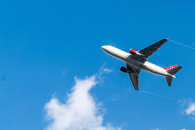 Prendre l'avion avec un chien : Chien En Avion Conditions De Vol Equipement Prix Et Conseils Pratiques