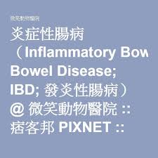 炎症性腸病 inflammatory bowel disease ibd 發炎性腸病 微笑動物醫院 痞客邦 ibd bowels inflammatory