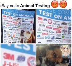 A comprehensive list of cruelty free beauty brands looking to boycott beauty brands that test on animals? Companies That Test On Animals Change Comin