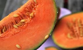 Chicken products recalled amid salmonella outbreak. Large Salmonella Outbreak Linked To Honeydew Cantaloupe And Galia Melons 2021 06 01 Food Safety