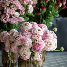 Check spelling or type a new query. Flower Delivery Sustainable Ethical Flowers Send Bloom Flowers