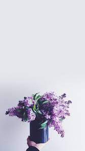 وهي المناطق المفتوحة التي لا يوجد بها الكثير من التفاصيل أو التنوع مثل الآفاق، أو الألوان غير اللامعة. Ø®Ù„ÙÙŠØ§Øª Ø¨Ù†Ø§Øª Ù…Ø§Ø³ÙƒÙŠÙ† ÙˆØ±Ø¯