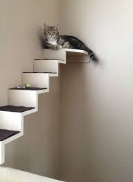 Our stairs and cat beds (when used with wall anchors) have been tested to comfortably and securely hold up to 40 lbs, perfect for any sized house cat! Diy Cat Staircase Wall Petdiys Com Cat Wall Shelves Cat Diy Cat Walkway