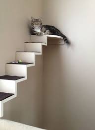 There are 71 suppliers who sells cat wall stairs on alibaba.com, mainly located in asia. Diy Cat Staircase Wall Petdiys Com Cat Wall Shelves Cat Diy Cat Walkway