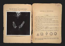 Francesca Woodman 1958 1981 Nero Colore Nero Colori