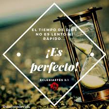 No Te Desesperes El Mas Grande Desafio De Ser Hijo De Dios Es Lograr Descansar En El Y En Sus Perfectos Planes Su Palabra Te Dic Hija De Dios Perfecta Salmos