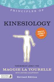 Principles Of Kinesiology Ebook In 2020 Kinesiology Holistic Health Holistic
