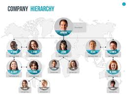 Organizational Chart And Hierarchy Template Graphicriver