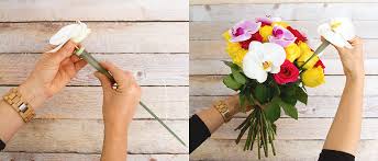 Keep your cut flowers attractive for as long as possible with the right care. Extend Floral Life With Flower Water Vials Koch Co Blog
