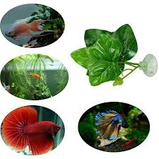 Do you like the green co. Artificial Plant Leaf Betta Hammock Fish Rest Bed Tropical Saltwater Fish Aquariums Supplies Decoration Aquarium Accessories Buy At The Price Of 1 69 In Aliexpress Com Imall Com