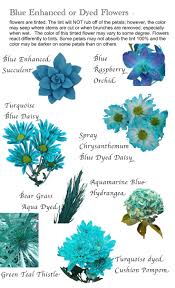 The essential blue wedding flowers guide: Blue Flowers Images And Names Top Collection Of Different Types Of Flowers In The Images Hd