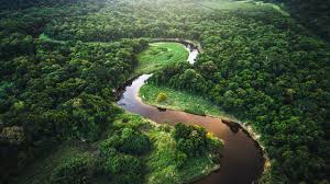 Did you know that the world's largest tropical rainforest is the . South America Rainforests Rivers And Waterfalls Bbc Bitesize