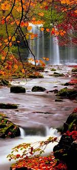 You can use iphone nature wallpaper hd for your iphone 5, 6, 7, 8, x, xs, xr backgrounds, mobile screensaver, or ipad lock screen and another smartphones device for free. Iphone X Autumn Wallpapers Hd
