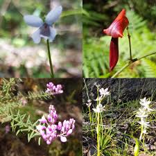 Check spelling or type a new query. Fixatives For Natural Fragrances Realize Beauty