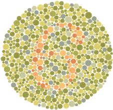 Despite the name, color blindness doesn't mean that people see the world in black and white. Color Blindness Take This Test Now Sunshine Optometry