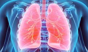 If one of the clots breaks free, it can travel through the bloodstream and get caught in your lungs, blocking blood flow. How To Spot The Warning Signs Of A Pulmonary Embolism