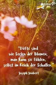 (persisch) die liebe ist der tau. 16 Gartenzitate Ideen Garten Zitate Kleine Zitate Zitate