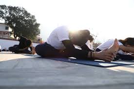 Janusirsasana Rishikesh Yoga Yoga Teacher Training Ashtanga Yoga