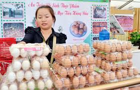Xuất khẩu sản phẩm trứng gà sang Nhật Bản - Báo Đồng Nai điện tử