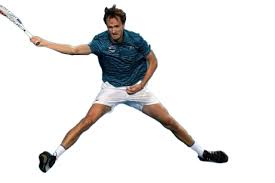 Born 11 february 1996) is a russian professional tennis player. Daniil Medvedev Png Image Png Arts