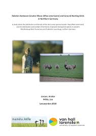 Also bedeckt england etwa 53% der fläche von großbritannien, schottland rund 32%, wales rund 8,5% der fläche und nordirland etwa 5,5%. Pdf Bachelor Thesis Relation Between Greater Rheas Rhea Americana And Ground Nesting Birds In Northern Germany