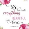 They do not have to do anything to make themselves bloom, they just do. Https Encrypted Tbn0 Gstatic Com Images Q Tbn And9gcqpgos3r3fl2fqaxdni7 Qf3ypghko6v164rrq0sj2yk0e7y Rm Usqp Cau