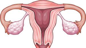We did not find results for: Gejala Kanker Rahim Stadium Awal Yang Sering Diabaikan Perlu Diwaspadai Health Liputan6 Com