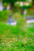 Editing Png Background Hd