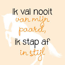 Ik Val Nooit Van Mijn Paard Ik Stap Af In Stijl Paardencitaten Grappige Paarden Citaten Grappig