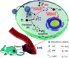 Check spelling or type a new query. Recent Progress On Nanomedicine Induced Ferroptosis For Cancer Therapy Biomaterials Science Rsc Publishing Doi 10 1039 D1bm00721a