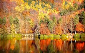 Free Fall Desktop Backgrounds Fall Wallpaper Free Fall Wallpaper Fall Desktop Backgrounds