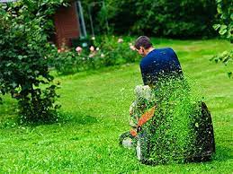 Lawn Mowing Burns Beach Garden Maintenance Burns Beach Best Riding Lawn Mower Lawn Care Lawn Care Companies