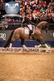 Saturday 21st december 2019 olympia, saturday afternoon performance olympia, london. 130 Dressage Dreams Ideas In 2021 Dressage Horses Equestrian