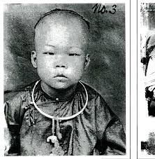 PDF) Archaeological Investigations of a Chinese Gardener's Household,  Tucson, Arizona. Technical Report 96-22. Desert Archaeology, Tucson,  Arizona.