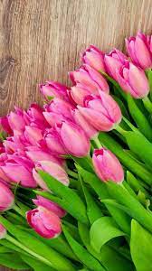 Wallpaper Iphone Nature Iphone Wallpaper Flower Wallpaper Iphone New Flower Wallpaper
