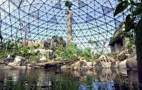 Check spelling or type a new query. The Rainforest In Randers Denmark Danmark Kobenhavn