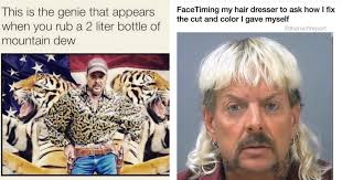 Tiger king's memes may be funny, but the facts are deeply problematic. 10 Hilarious Tiger King Memes That We All Need Right Now