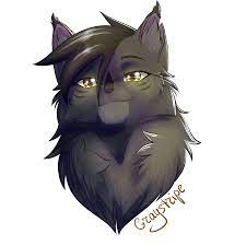 graystripe krutobok kot knigi istoriya