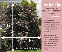 Pin On Landscape Garden Design Tips