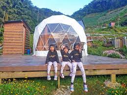 Tanah tinggi cameron adalah antara destinasi yang sering menjadi pilihan pengunjung untuk meluangkan waktu bersama keluarga. Mahu Percutiaan Berbeza Tanah Tinggi Campsite Staycation Viral Di Cameron Highlands Ini Dicadangkan Libur