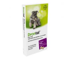 Will my dog or puppy pass worms after deworming? Bayer Drontal Plus Tasty 150 144 50 Mg Ab 11 50 Juli 2021 Preise Preisvergleich Bei Idealo De
