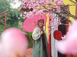 Di wisata kampung korea ini sudah cukup menyenang Kampung Korea Desa Kadu Engang Di Pandeglang Wisata Ala Drakor