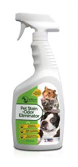 Why is concrete so hard to remove odors from? Why Does My Cat Smell What To Do If Your Cat Smells Bad